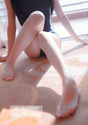 明月照我心全集免费