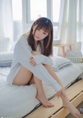 第九部的检察官
