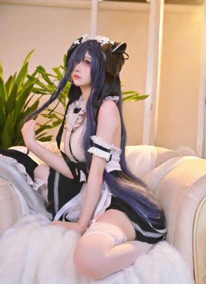 狐狸的春天